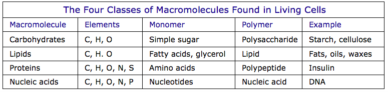 Macromolecule Monomer Polymer Chart