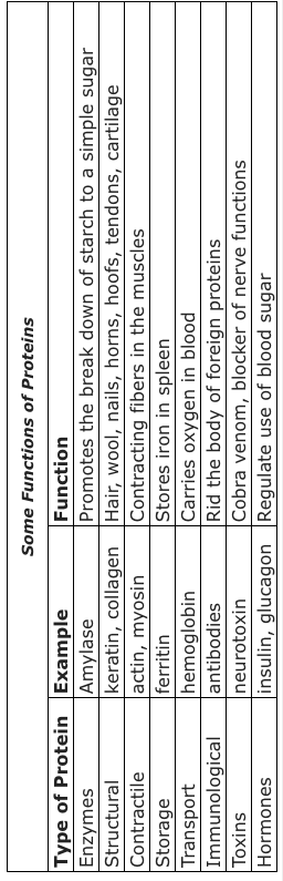 Chart showing types of proteins & examples