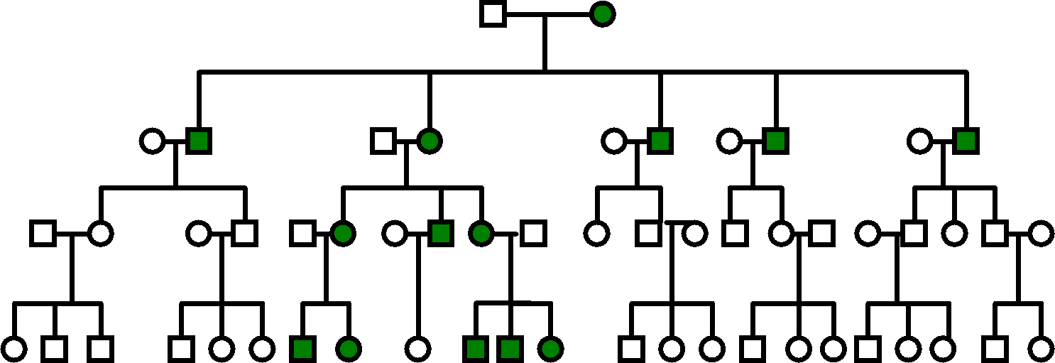 descendants chart showing the path of mitochondria inheritance