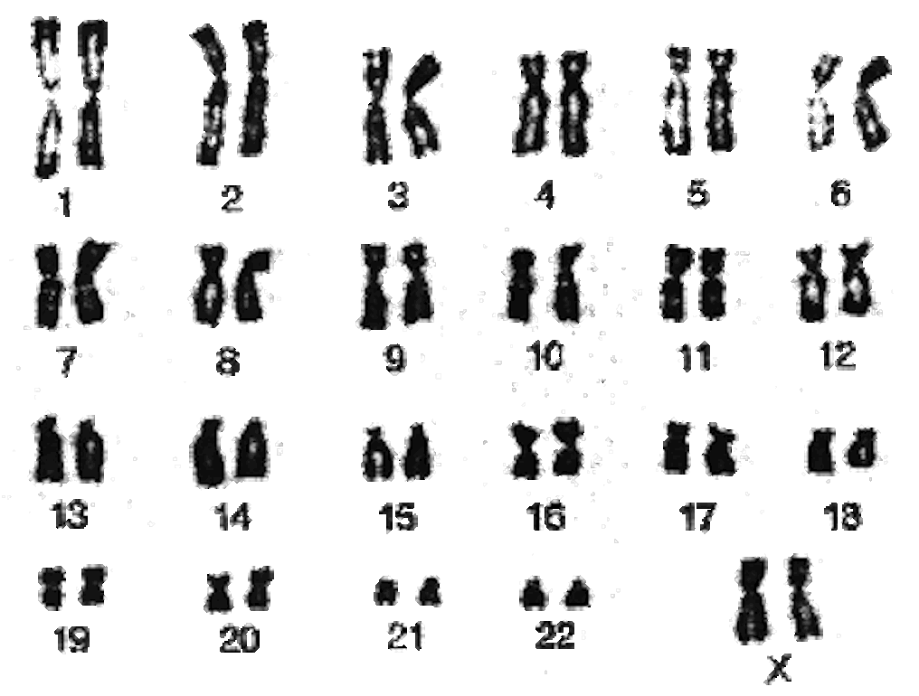 Stacks Image 186